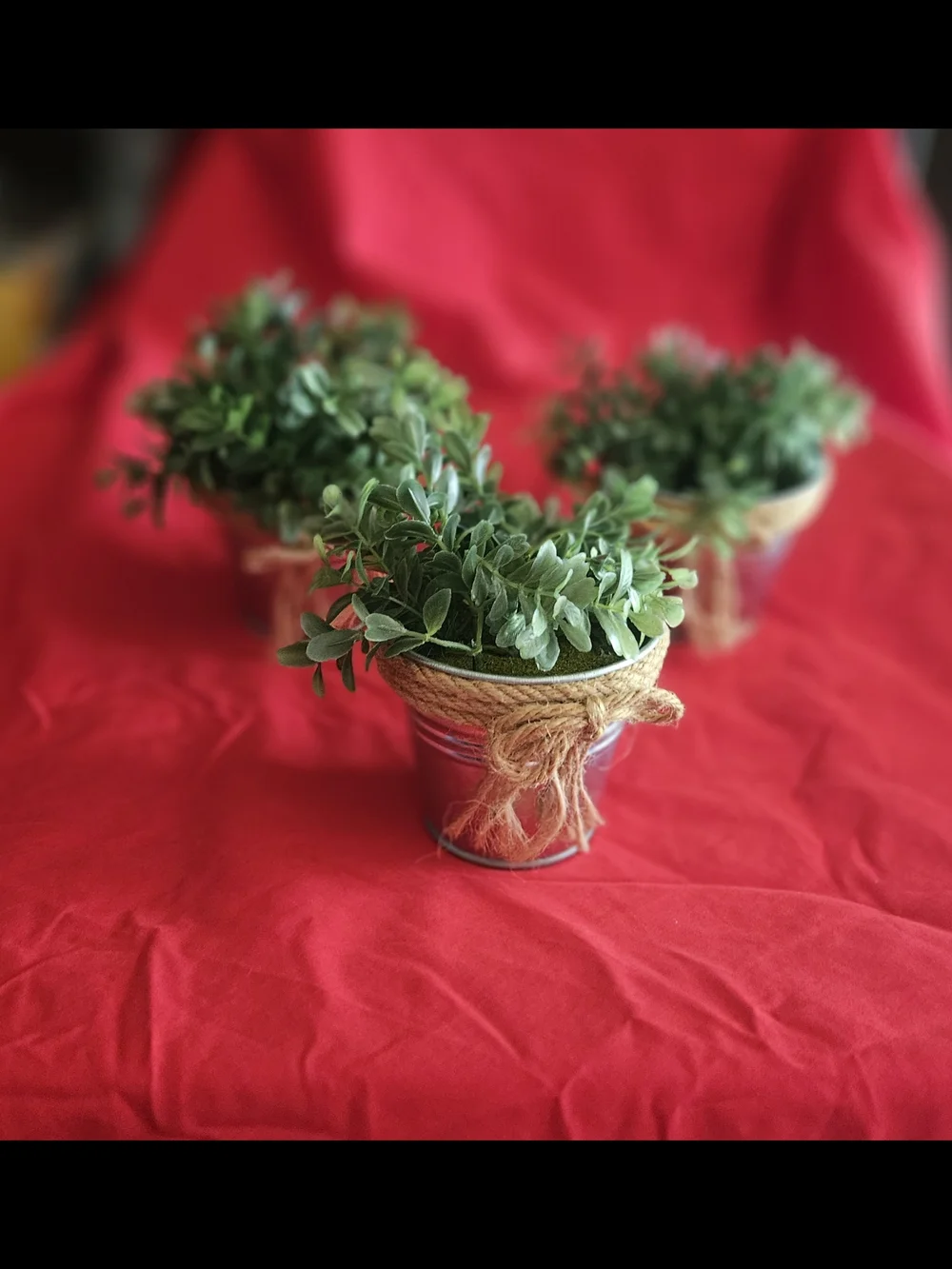 Hobby Lobby Green Faux Boxwood in Twine-Trimmed Silver Buckets